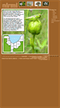 Mobile Screenshot of nirmi.org